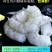 国大虾仁3斤现剥新鲜青虾仁冷冻白虾仁大号虾仁海鲜批