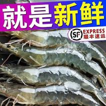 国产新鲜4斤超大虾鲜虾活冻海捕大虾基围虾对虾青虾白虾