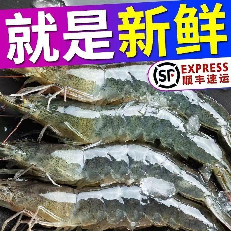 国产新鲜4斤超大虾鲜虾活冻海捕大虾基围虾对虾青虾白虾包邮
