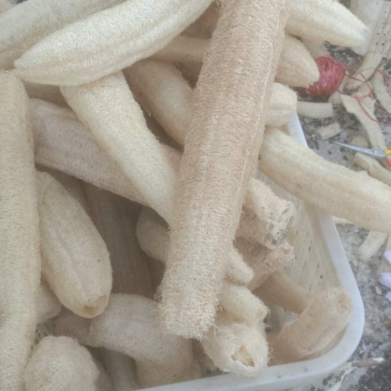 优质天然丝瓜络！刷锅洗碗做蒸笼搓澡巾民用！