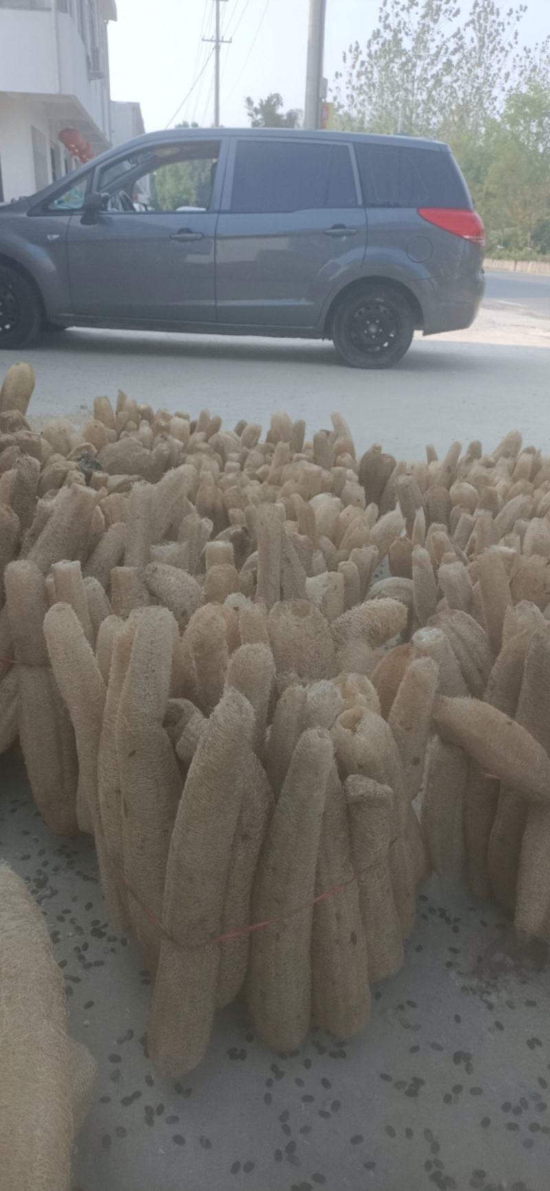 优质天然丝瓜络！刷锅洗碗做蒸笼搓澡巾民用！