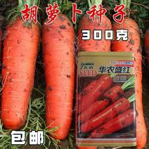 三红七寸参八寸参胡萝卜种子橘红色农户大田农家庭院均可种植