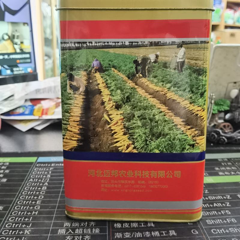齐头黄参黄胡萝卜种子米黄色300克一罐种植户农家庭院均可