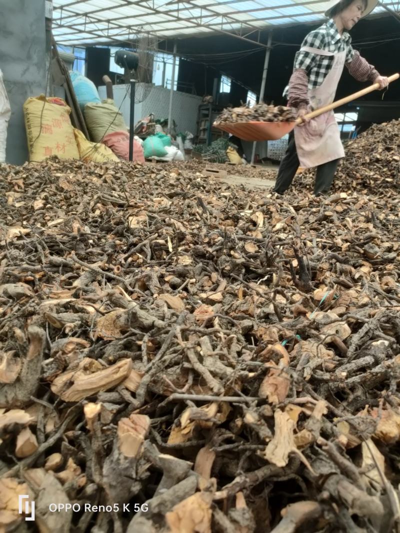 野生睇牛仔又名（苦里根），草药也就是黄药。
