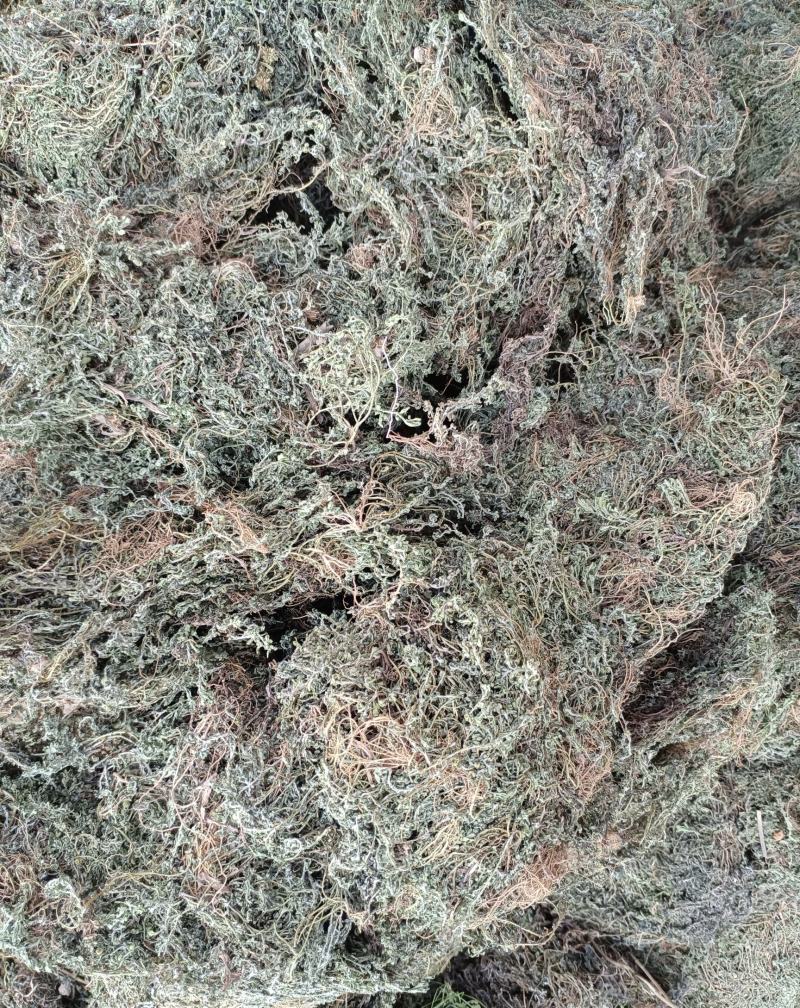鹅不食全棵，天然晾晒，人工除杂，药力强