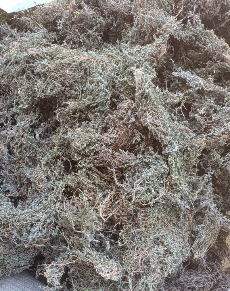 鹅不食全棵，天然晾晒，人工除杂，药力强