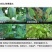 8%宁南霉素对作物的病毒病根腐病立枯病有很好的预防效果，