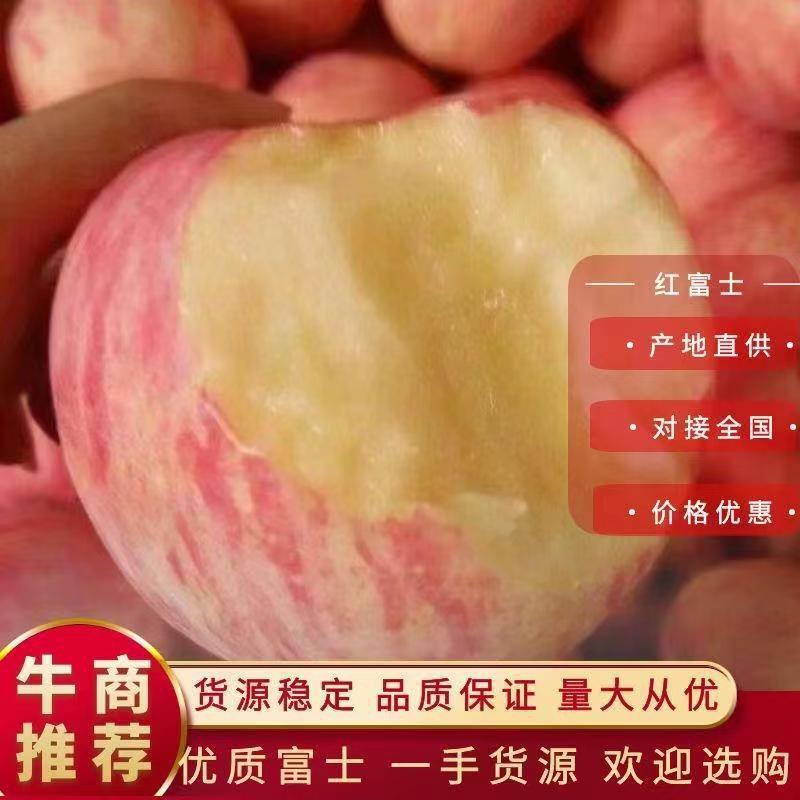 红富士苹果产地批发一手货源，口感脆甜，品种齐全。