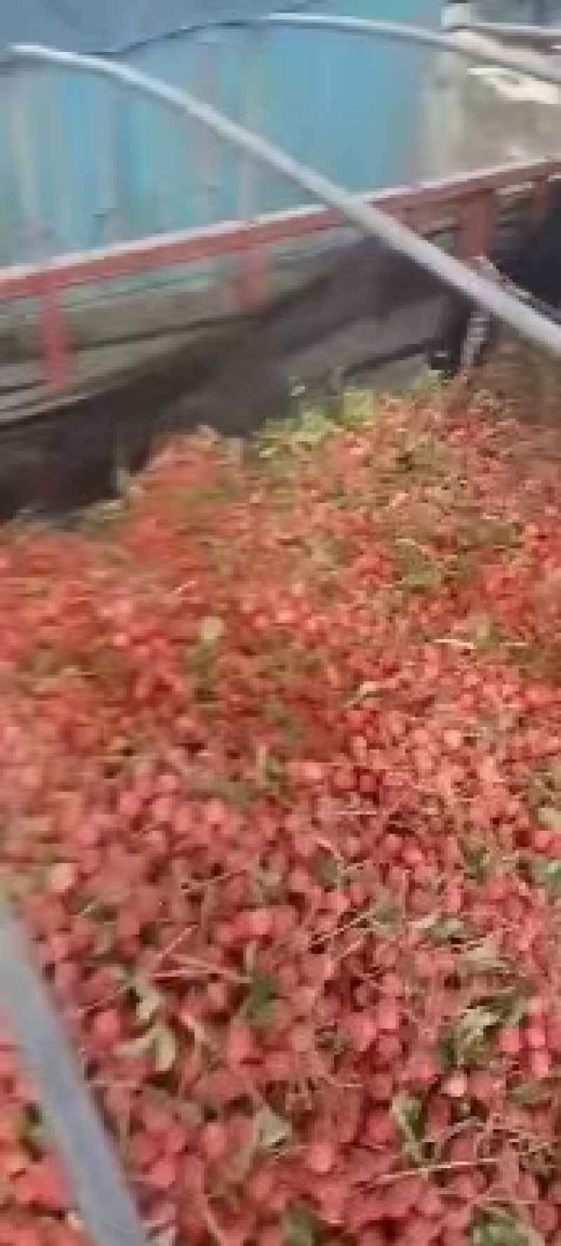 承接全国货运，货物运输，冷藏车，物流车，高栏，物流运输车
