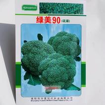 绿美90花菜种子耐寒中熟西兰花种子花椰菜种子育苗专用