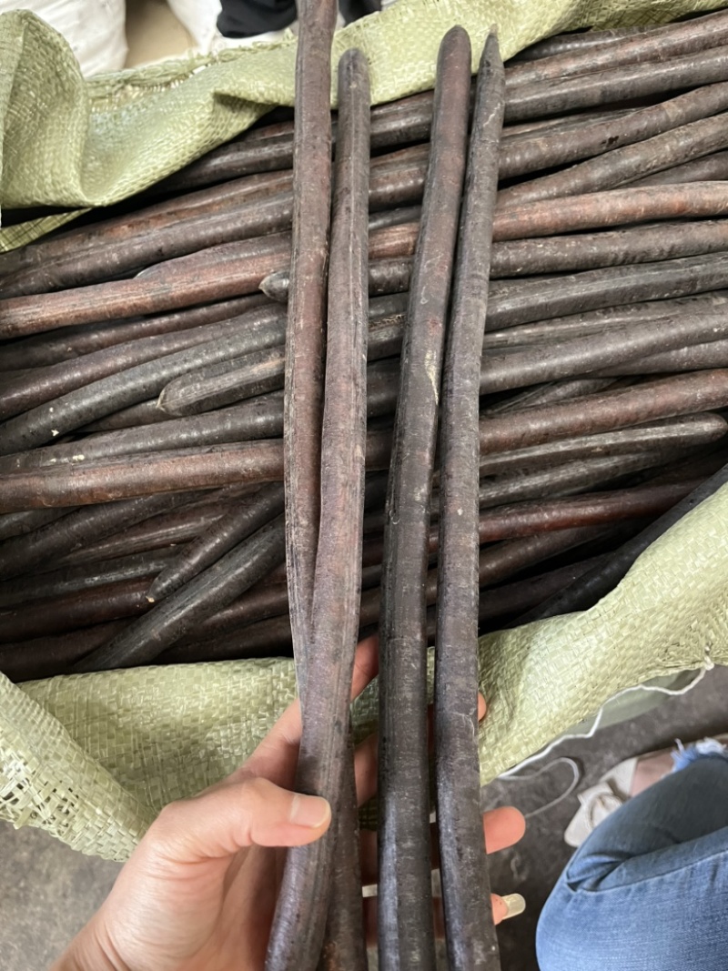 便秘果，便秘果精选，大解果，便秘果整根。腊肠果。便秘果肉