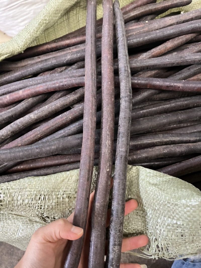 便秘果，便秘果精选，大解果，便秘果整根。腊肠果。便秘果肉