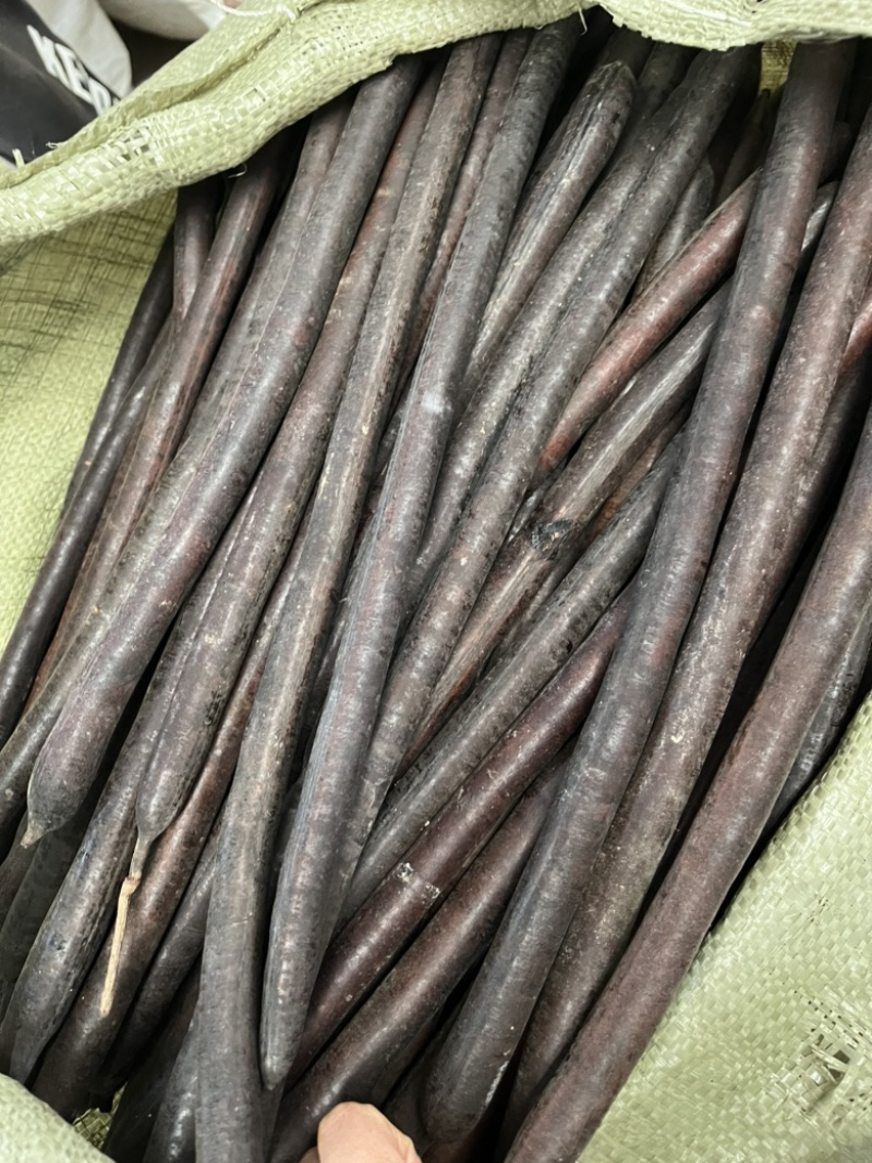 便秘果，便秘果精选，大解果，便秘果整根。腊肠果。便秘果肉