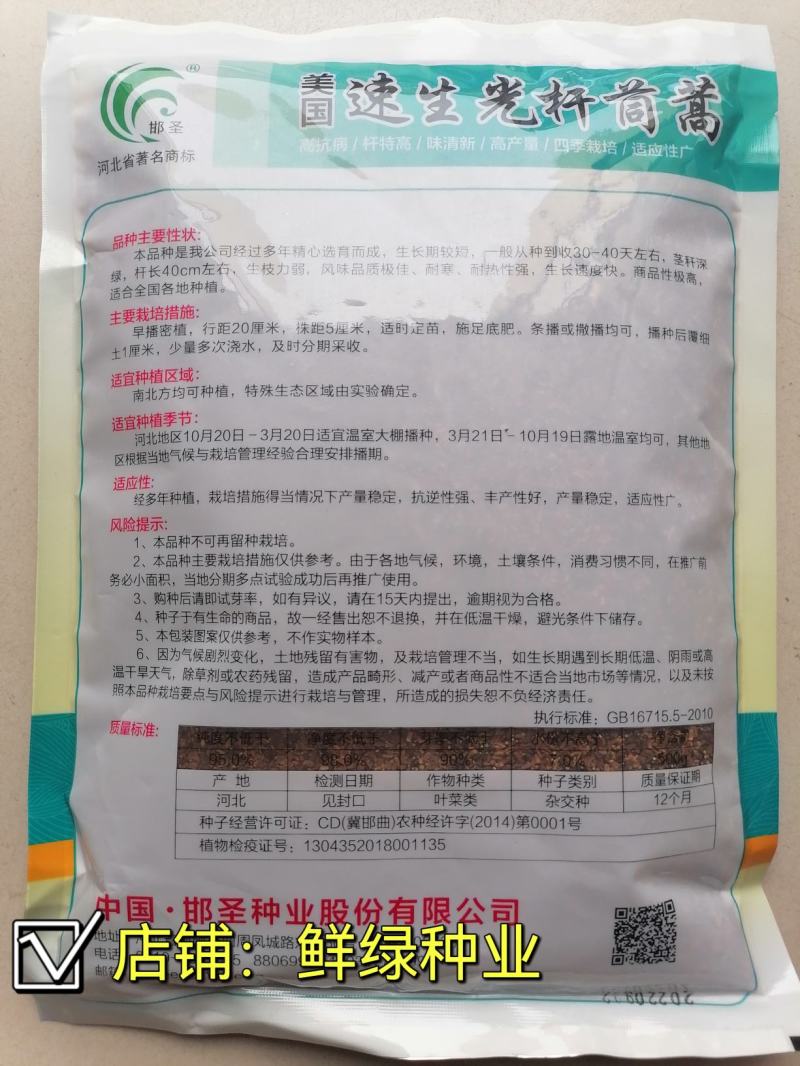 四季栽培光杆茼蒿种子耐寒耐热抗病味清新适应性优品质优