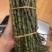 鲜条，铁皮石斛鲜条，石斛，云南货石斛，一手货源石斛，紫皮
