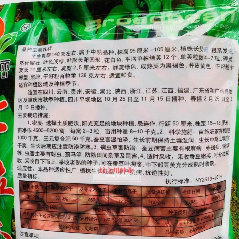 七粒香蚕豆种子中熟品种大粒蚕豆种子大田用种