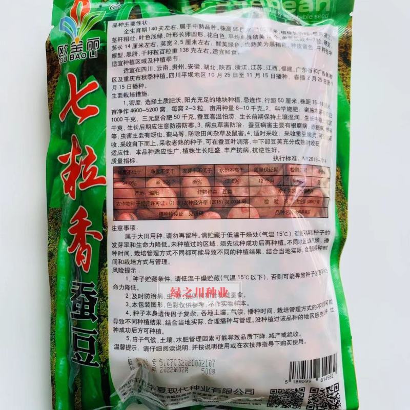 七粒香蚕豆种子中熟品种大粒蚕豆种子大田用种
