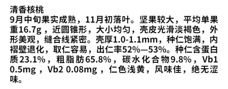 清香核桃嫁接苗南北方种植核桃树当年结果核桃树苗