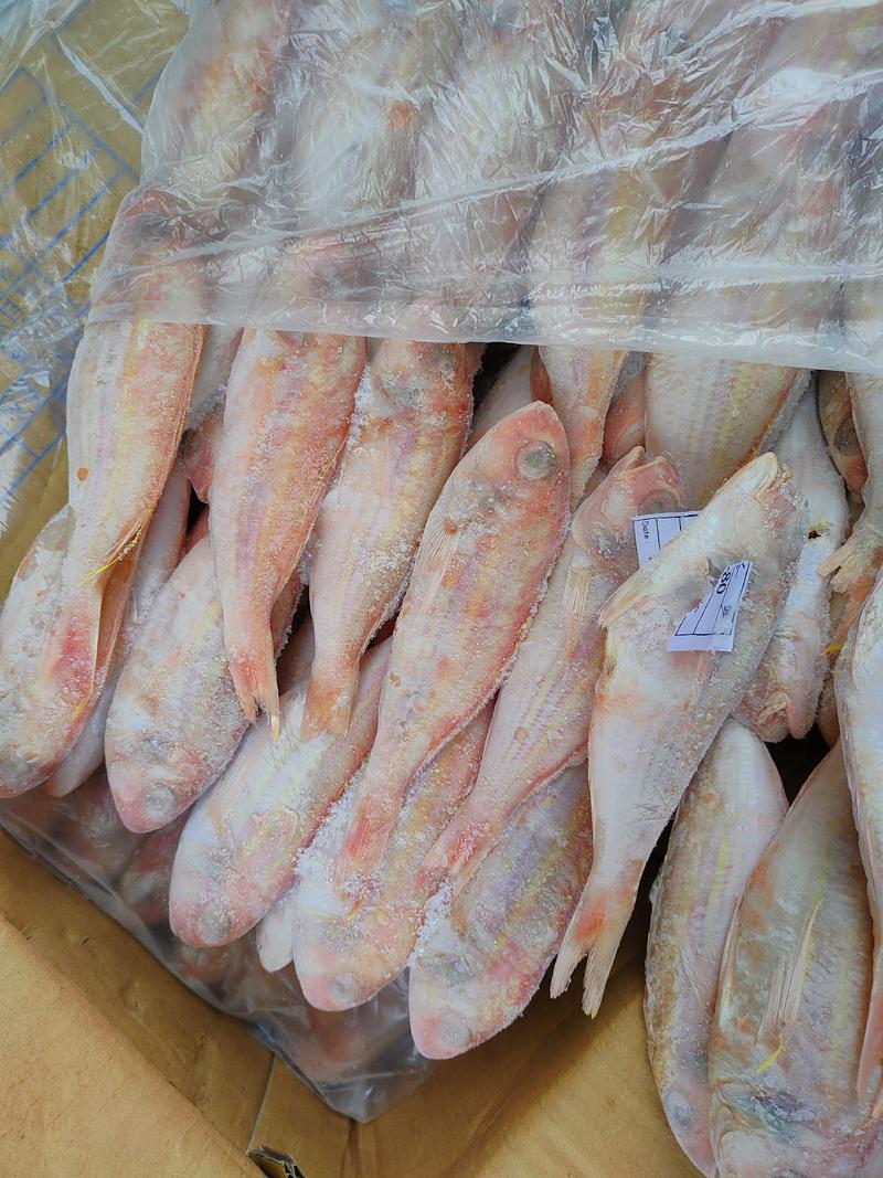 红杉鱼新鲜冷冻海鱼50/80小规格红三鱼批发