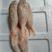 红杉鱼新鲜冷冻海鱼50/80小规格红三鱼批发
