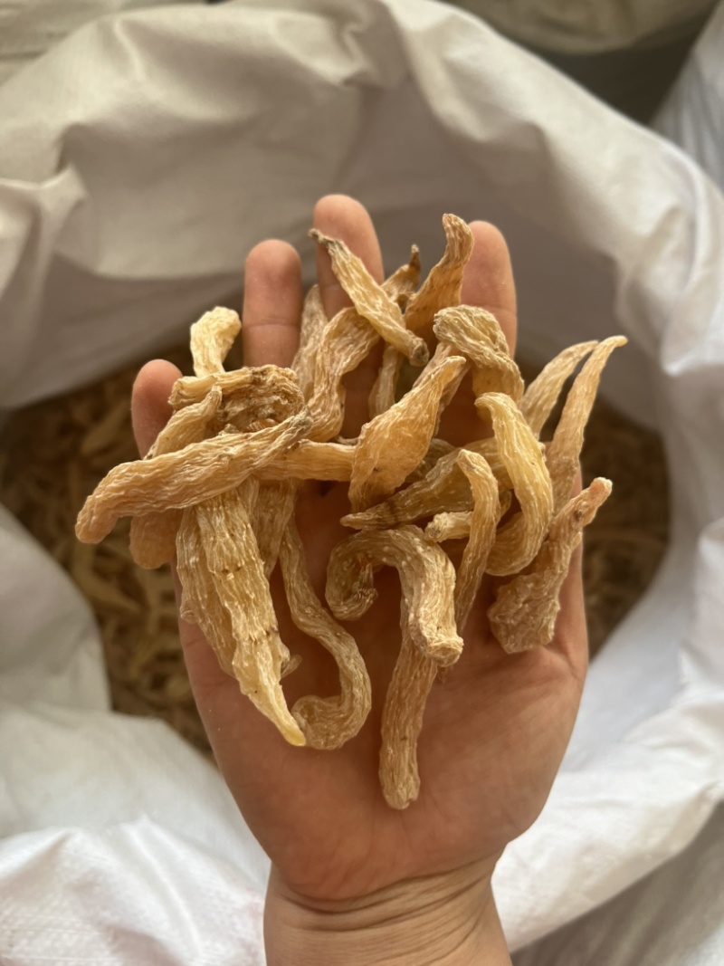 天麻，新鲜天麻，昭通小草坝天麻，湖北天麻，红天麻，乌天麻