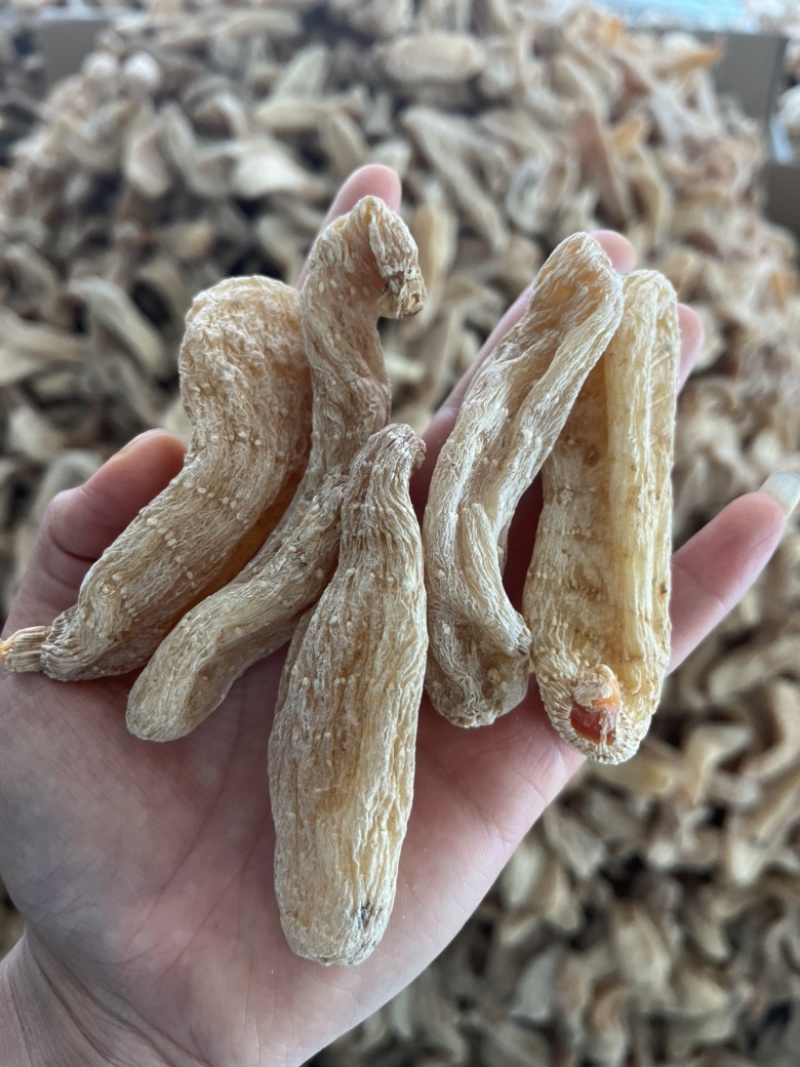 天麻，新鲜天麻，昭通小草坝天麻，湖北天麻，红天麻，乌天麻