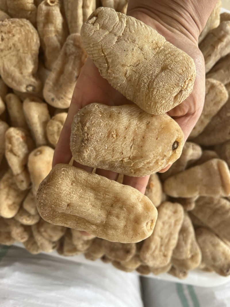天麻，新鲜天麻，昭通小草坝天麻，湖北天麻，红天麻，乌天麻