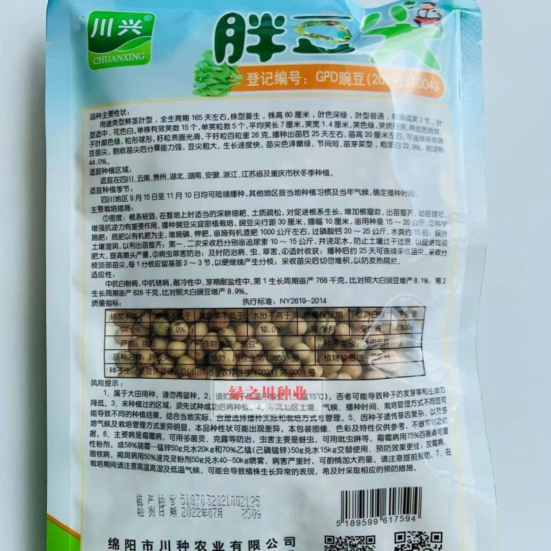 胖豆尖豌豆苗种子豆苗粗大清香味浓豌豆尖种子叶绿肥厚