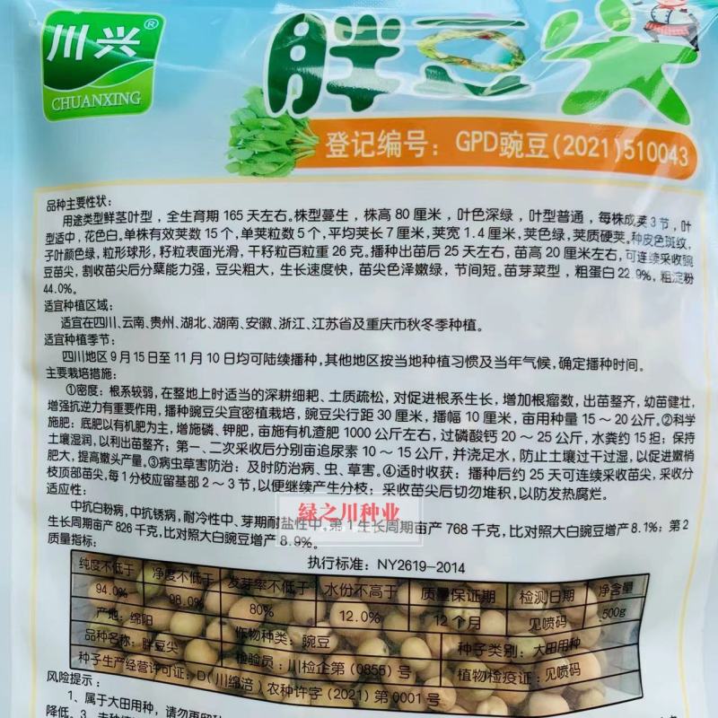 胖豆尖豌豆苗种子豆苗粗大清香味浓豌豆尖种子叶绿肥厚
