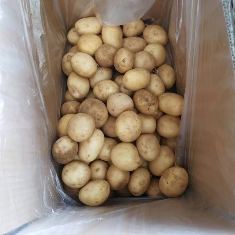 滕州迷你小土豆，纯手工精选，黄皮黄肉，软糯香甜口感好！