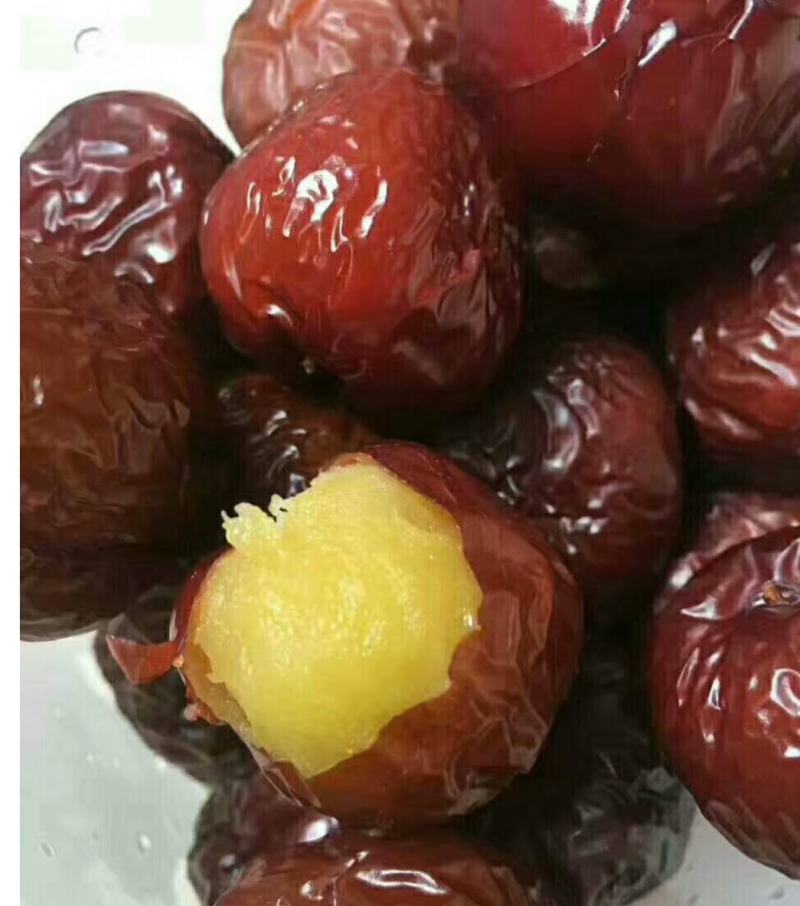 蒸着吃的枣，冻鲜枣，冷鲜枣2024年新货大量供应