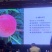 中桃14号郑州果科所新品种的早熟水蜜桃，浓香大果型