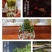 茶叶2022明前黄芽800一斤中高端绿茶【回甘好】