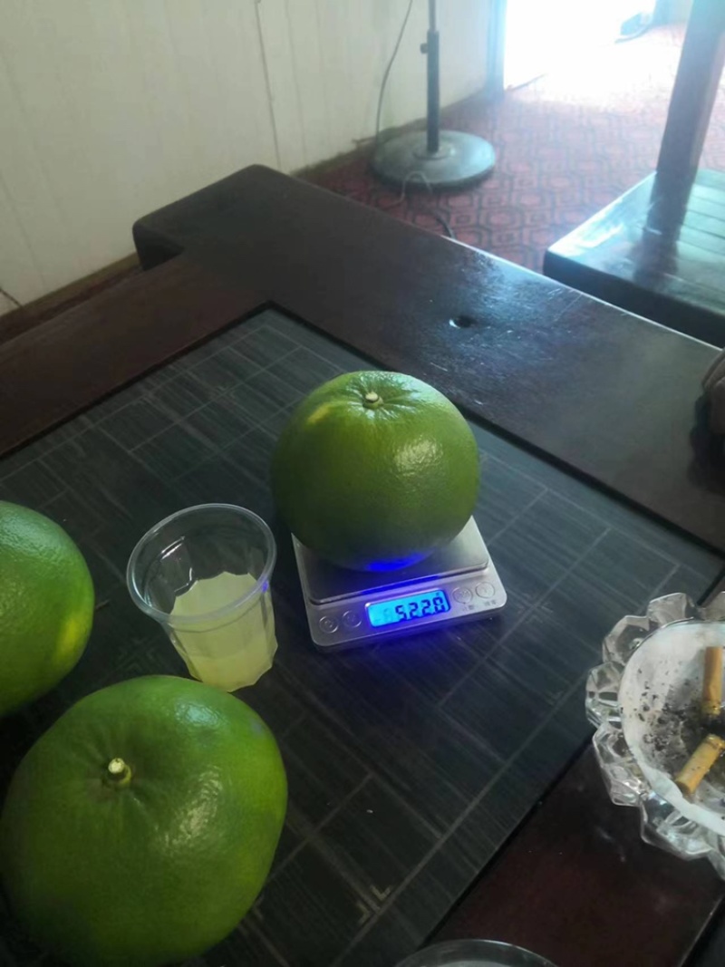 广西葡萄柚，大量上市，50万斤，欢迎骚扰