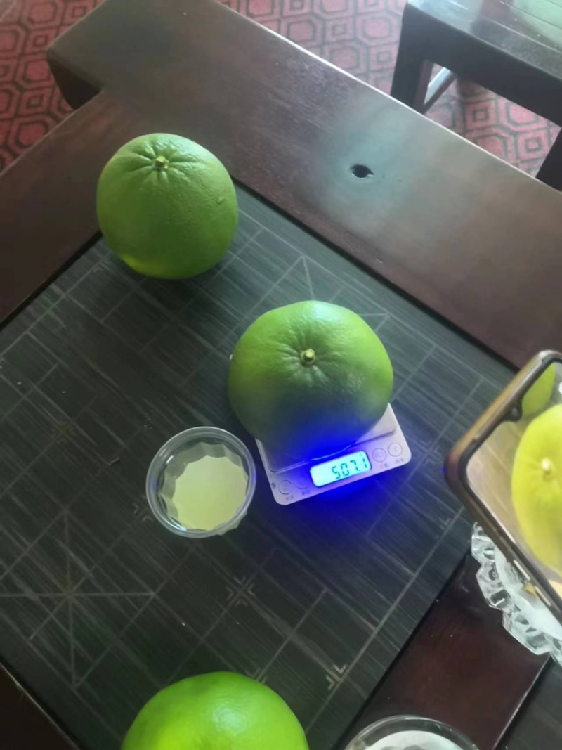 广西葡萄柚，大量上市，50万斤，欢迎骚扰
