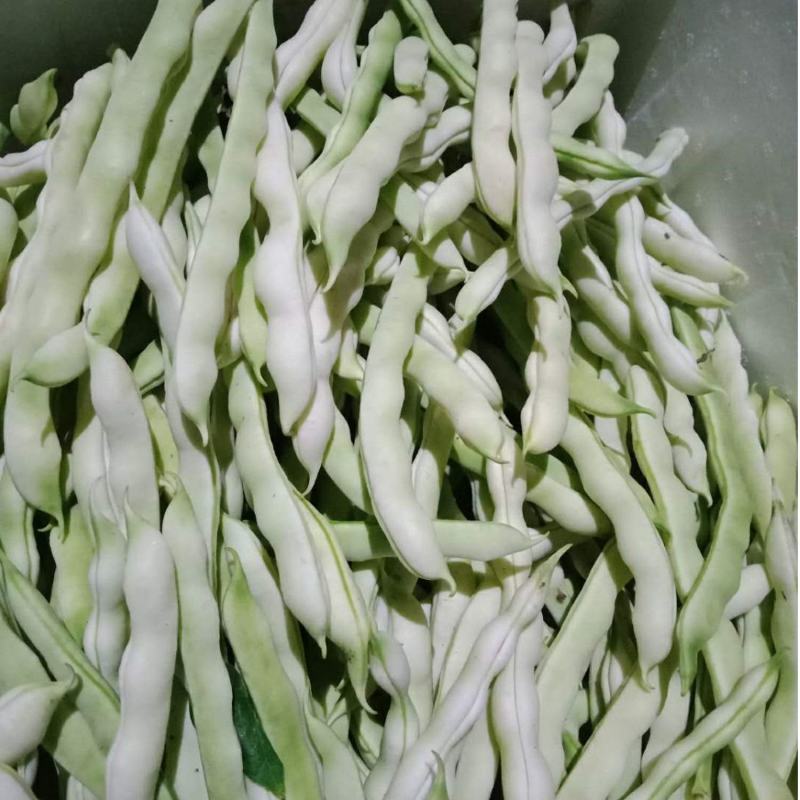 云南保山市隆阳区潞江镇芒宽乡，白不老