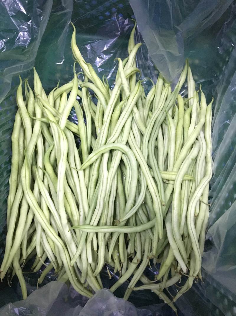 云南保山市隆阳区潞江镇芒宽乡，白不老