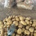 【推荐】内蒙土豆黄芯，质量很好，大量上市欢迎合作