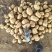 【推荐】内蒙土豆黄芯，质量很好，大量上市欢迎合作