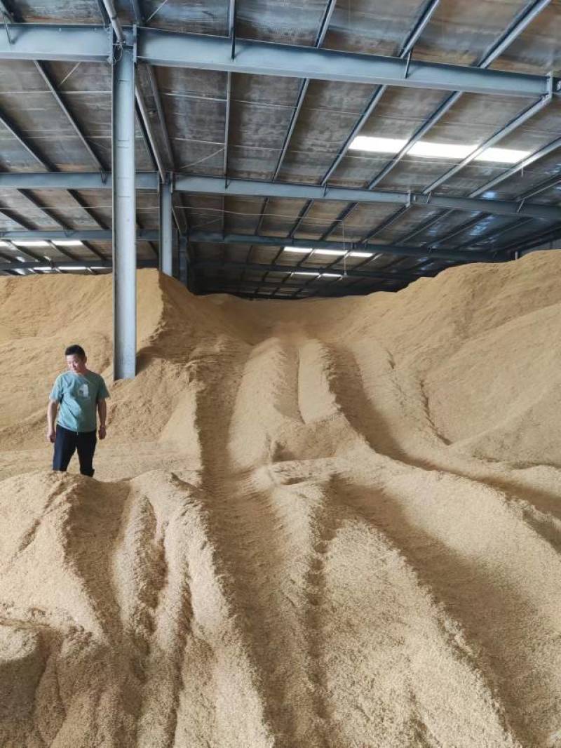 漯河稻壳出货