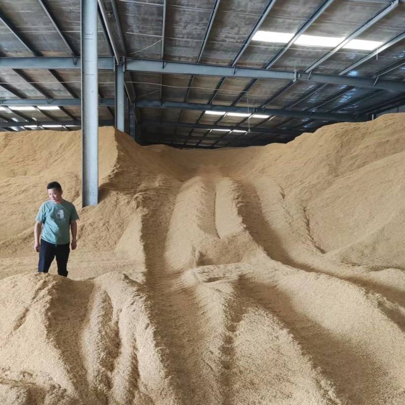 漯河稻壳出货
