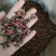 (热销)玫瑰花金边玫瑰云南金边玫瑰祥泰药材栈中药材