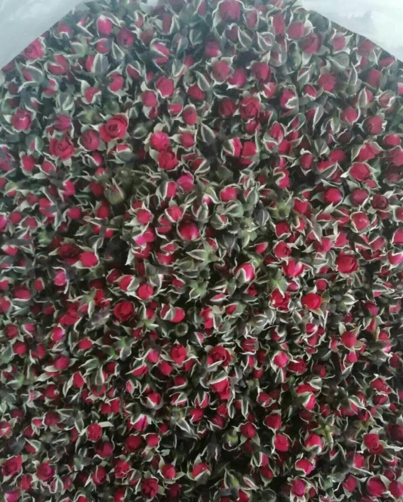 （热销）玫瑰花金边玫瑰云南金边玫瑰祥泰药材栈中药材