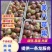 山东早熟苹果【美八红露华硕嘎啦】产地一手货源冰糖心保质量