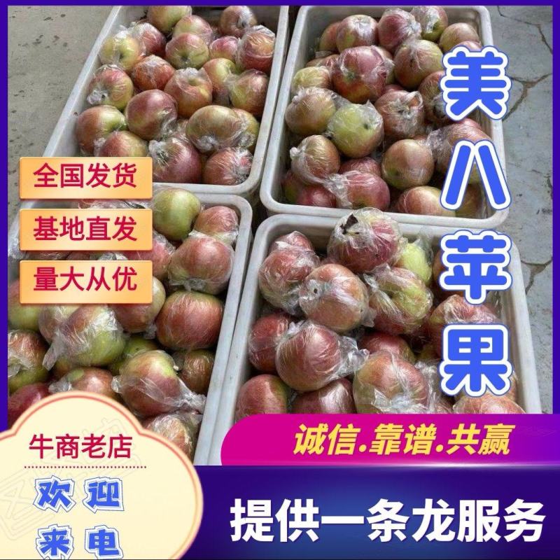 山东早熟苹果【美八红露华硕嘎啦】产地一手货源冰糖心保质量
