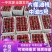 大棚油桃上市中油5号黄桃126质量好口感甜全国发货