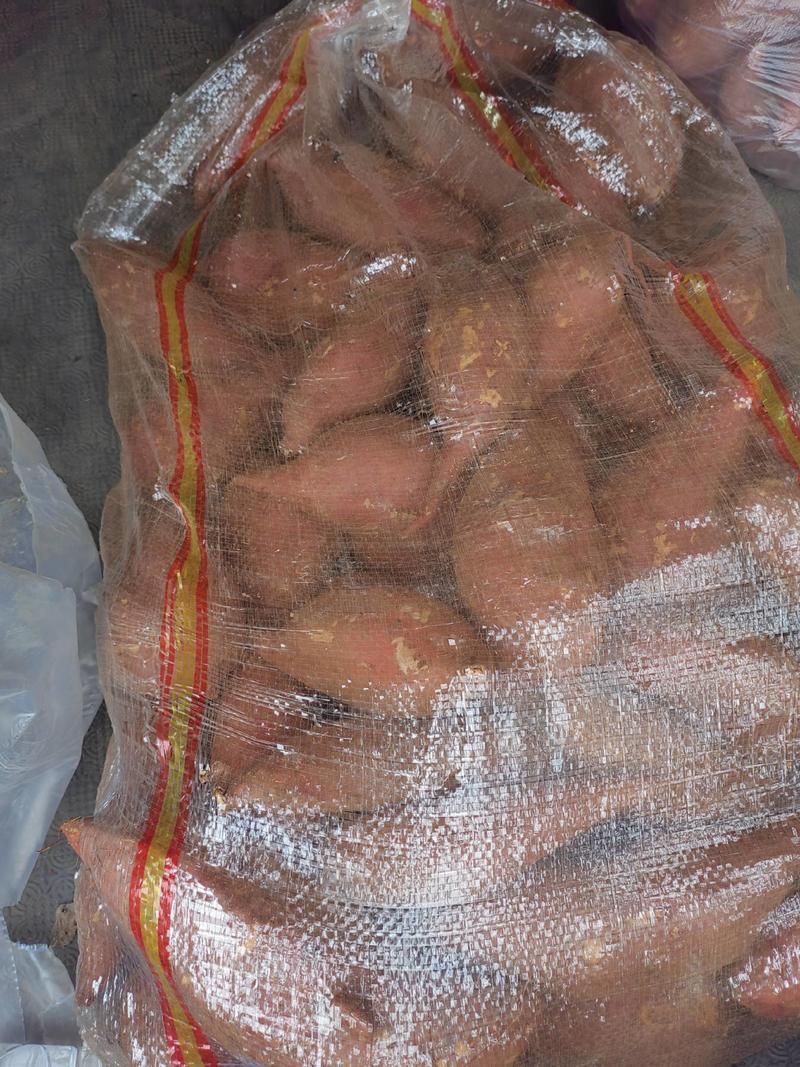 【西瓜红】湖北红薯产地直供保质保量提供一条龙服务