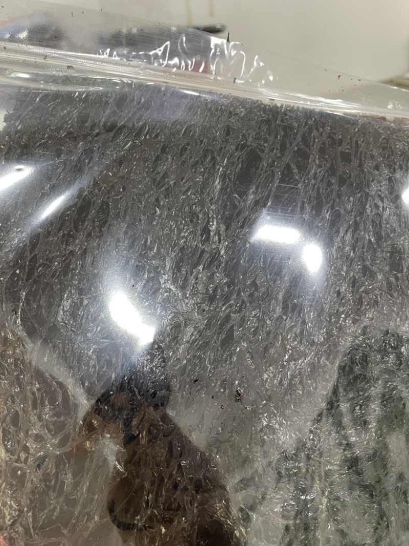 头水紫菜每包半斤