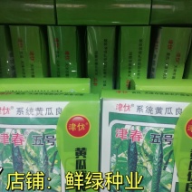 津春五号春秋露地黄瓜优良品种肉质脆，口感好。