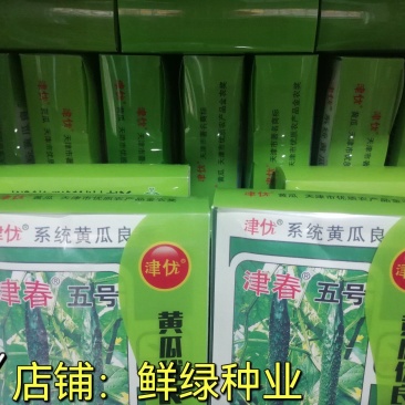 津春五号春秋露地黄瓜优良品种肉质脆，口感好。